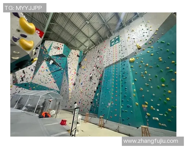 攀岩热潮下的争议上海攀岩队比赛经验引发热议与思考